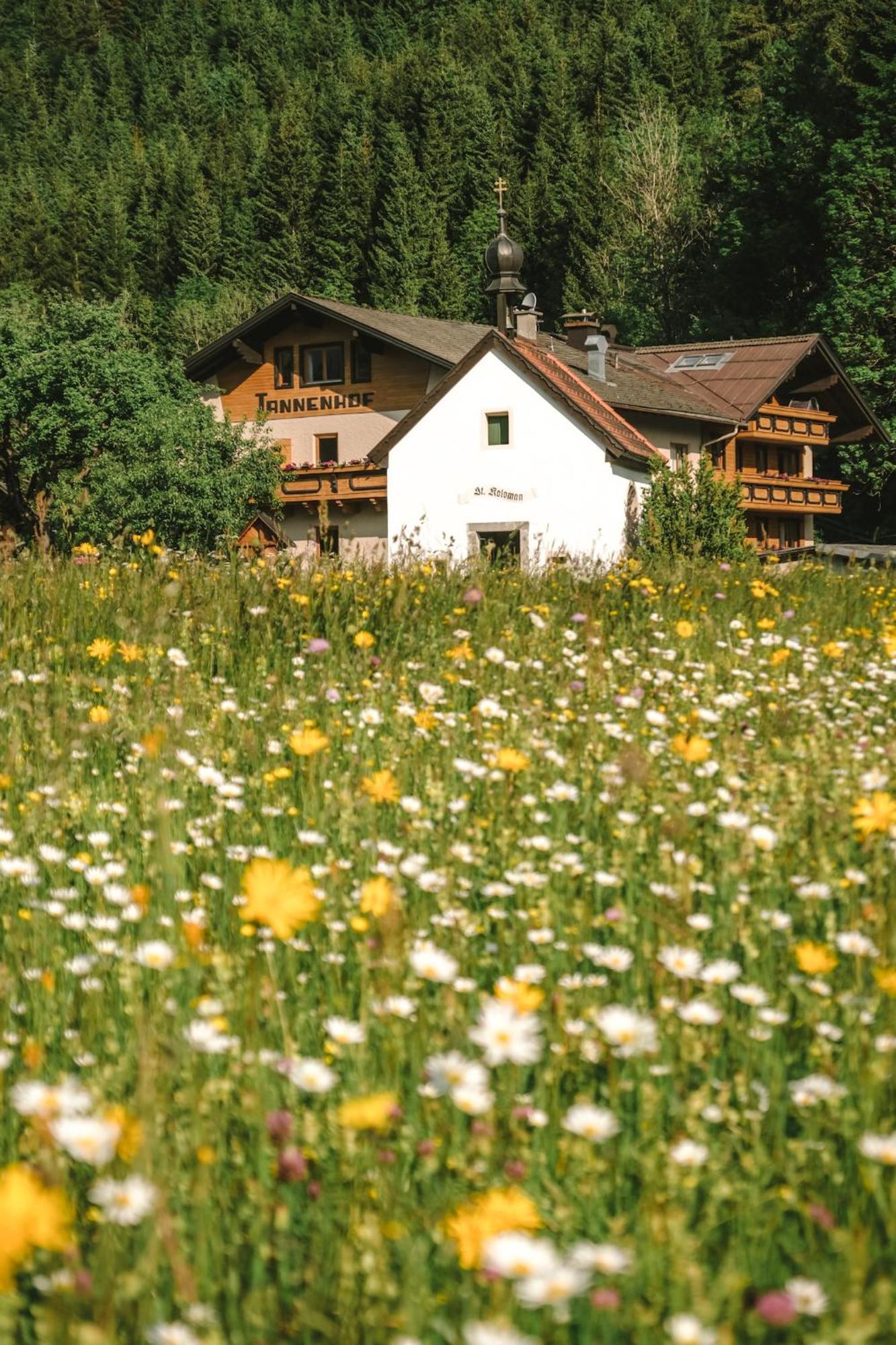 ホテル Der Tannenhof ロイテ エクステリア 写真